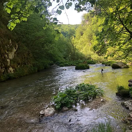 Log Plavsic - Vikendica Plavsic