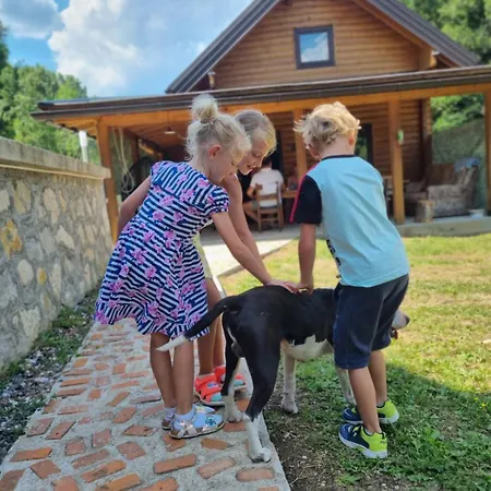 Log Plavsic - Vikendica Plavsic Semesterbostad