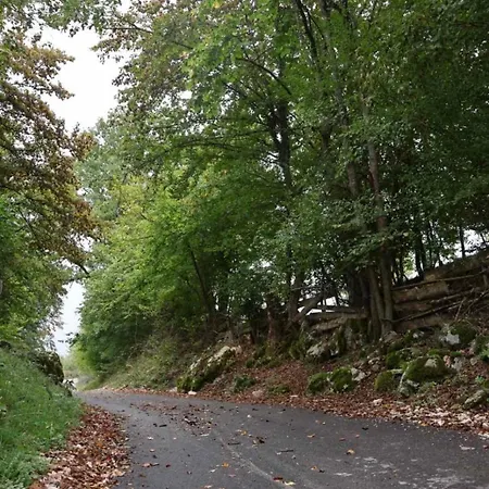 Log Plavsic - Vikendica Plavsic