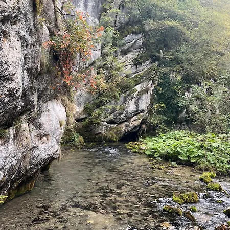 Semesterbostad Log Plavsic - Vikendica Plavsic