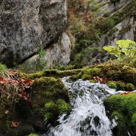 Tatil Evi Log Plavsic - Vikendica Plavsic