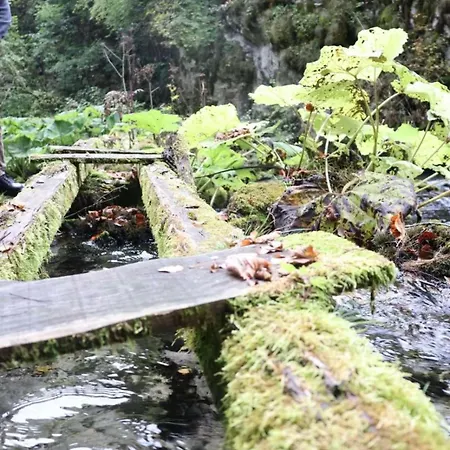 Log Plavsic - Vikendica Plavsic Semesterbostad Sipovo