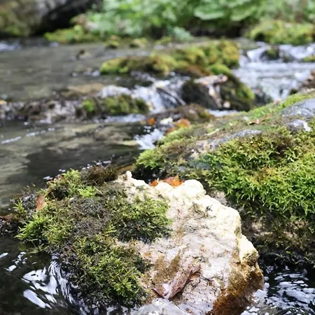 Log Plavsic - Vikendica Plavsic 펜션 *