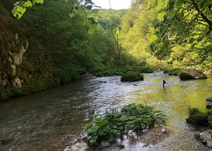 Log Plavsic - Vikendica Plavsic