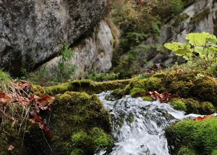 Prázdninový dům Log Plavsic - Vikendica Plavsic
