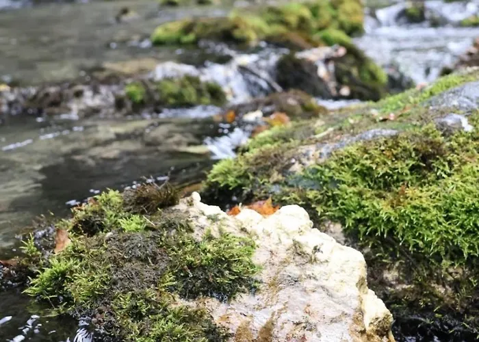 Log Plavsic - Vikendica Plavsic Prázdninový dům *